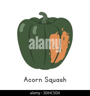 Acorn Squash Flat Cartoon Vector Illustration Isolated on White Background. Acorn Squash Clipart Stock Vector