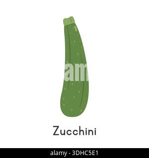 Zucchini Flat Cartoon Vector Illustration Isolated on White Background. Zucchini Clipart Stock Vector