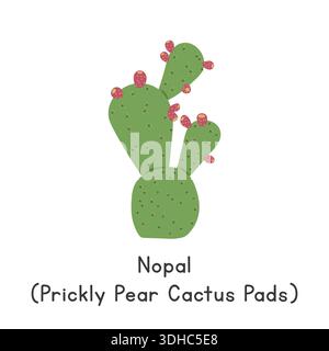 Nopal (Prickly Pear Cactus Pads) Flat Cartoon Vector Illustration Isolated on White Background Stock Vector