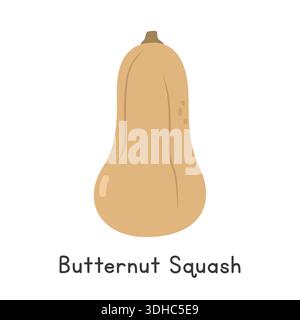 Butternut Squash Flat Cartoon Vector Illustration Isolated on White Background. Butternut Squash Clipart Stock Vector