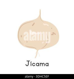 Jicama Flat Cartoon Vector Illustration Isolated on White Background. Jicama Clipart Stock Vector