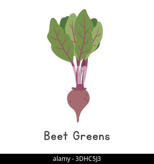 Beet Greens Flat Cartoon Vector Illustration Isolated on White Background Stock Vector