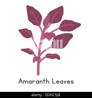 Amaranth Leaves Flat Cartoon Vector Illustration Isolated on White Background Stock Vector
