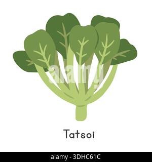 Tatsoi Vector Illustration. Taisoi or Tat choy Cartoon Clipart, Vegetable in Flat Style. Also called Spinach Mustard, Spoon Mustard, Rosette Bok Choy Stock Vector