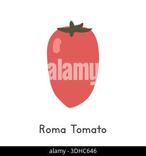 Roma Tomato Flat Cartoon Vector Illustration Isolated on White Background. Roma Tomato Clipart Stock Vector