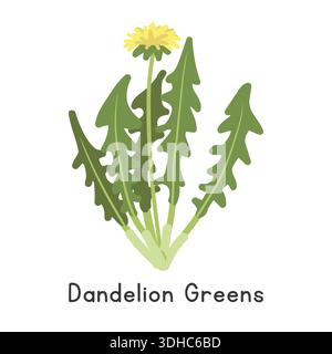 Dandelion Greens Flat Cartoon Vector Illustration Isolated on White Background. Dandelion Greens Clipart Stock Vector