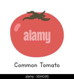 Tomato Flat Cartoon Vector Illustration Isolated on White Background. Tomato Clipart Stock Vector