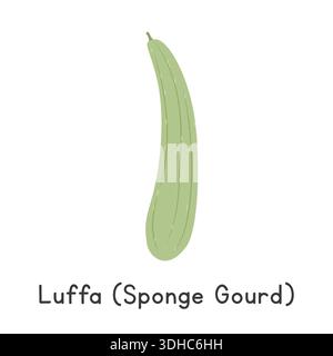 Luffa (Sponge Gourd) Flat Cartoon Vector Illustration Isolated on White Background Stock Vector