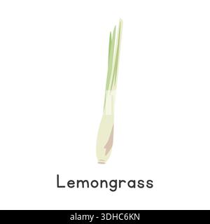 Lemongrass (Cymbopogon) Flat Cartoon Vector Illustration Isolated on White Background. Lemongrass Clipart Stock Vector