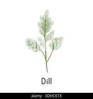 Dill Flat Cartoon Vector Illustration Isolated on White Background. Dill Clipart Stock Vector