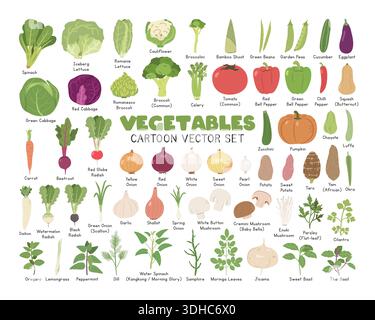 Vegetables Vector Illustration Set. Common Vegetables Cartoon Clipart Set in Flat Style. Spinach, Lettuce, Tomato, Cabbage, Broccoli, Herbs Stock Vector