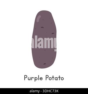 Purple Potato Vector Illustration. Purple Potato Cartoon Clipart, Vegetable in Flat Style. Also called Blue Potato Stock Vector