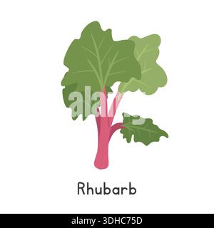 Rhubarb Vector Illustration. Garden Rhubarb Cartoon Clipart, Vegetable in Flat Style. Also called Pie Plant or Rheum rhabarbarum. Stem and Shoot Stock Vector