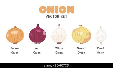 Onion Set Flat Cartoon Vector Set Isolated on White Background. Yellow Onion, Red Onion, White, Sweet, and Pearl Onion Stock Vector
