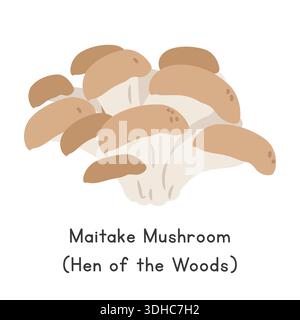 Maitake Mushroom Vector Illustration. Maitake Mushroom Cartoon Clipart, Vegetable in Flat Style. Also called Hen of the Woods or Grifola frondosa Stock Vector