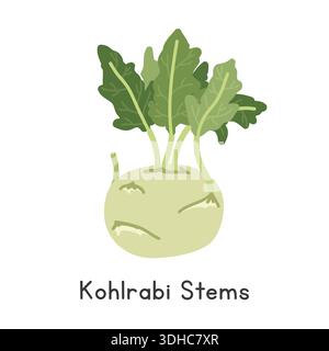 Kohlrabi Stems Vector Illustration. Kohlrabi Stems Cartoon Clipart, Vegetable in Flat Style. Also called German Turnip, Knol-Kohl Stock Vector