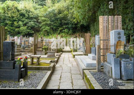 Kyoto, Japan - October 16, 2023: Rows of stone gravestones and wooden sotoba memorial markers are visible along a paved path in the cemetery at Chion-in Temple, with dense green trees in the background. Stock Photo