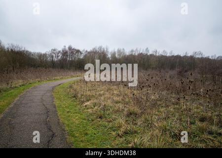 Peaceful walkway winding through woodland at Gunpowder Park in Enfield, London, highlighting natural green space, conservation and outdoor walking. Stock Photo