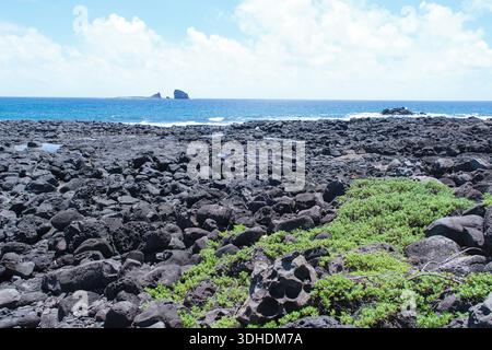 Basalt and volcanic rocks forming a rough stone texture on a rocky beach in Jeju Island, South Korea, captured in natural daylight. Stock Photo