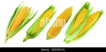 Corn on the cob kernels close up shot Clipping Path Stock Photo
