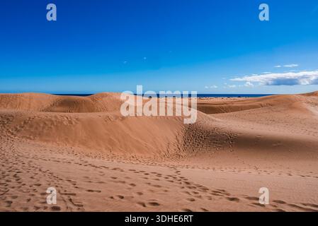 Maspalomas Dunes on Gran Canaria with Atlantic Ocean under clear sky Stock Photo