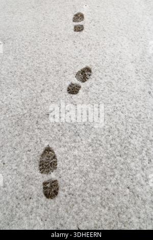 Footprints visible on a snow covered road surface, showing human tracks on a winter roadway in cold weather conditions. Stock Photo