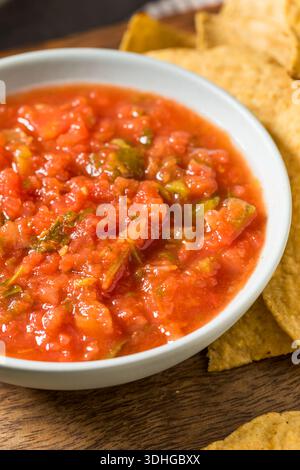 Homemade Healthy Mexican Tomato Salsa with Tortilla Chips Stock Photo
