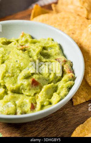 Homemade Mexican Avocado Guacamole with Tortilla Chips Stock Photo