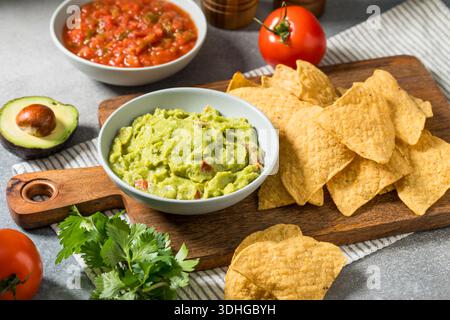 Homemade Mexican Avocado Guacamole with Tortilla Chips Stock Photo