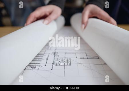 Caucasian Young Adult Woman Unrolling Architectural Blueprint on Table Stock Photo
