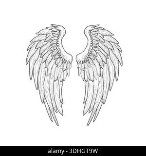 Hawk or eagle wings, black and white sketch. Vector illustration. Bird wings and feathers isolated on white background. Mystical angel or griffin wing Stock Vector