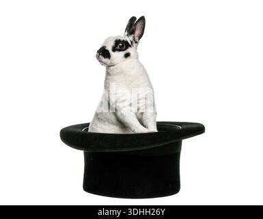 Rabbit peeking out of a magician's top hat against a white background Stock Photo