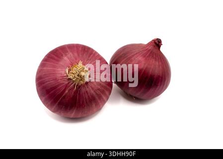 Two whole red onions isolated on white background. Fresh organic vegetables for cooking, salads and healthy lifestyle. High quality photo Stock Photo