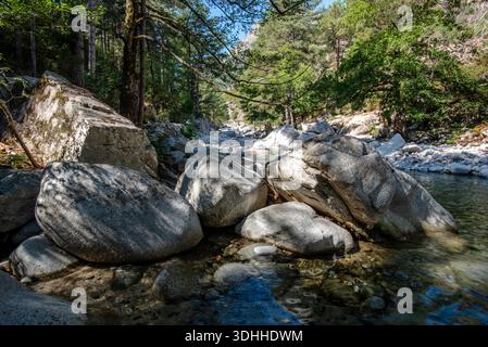 Rocky riverbed surrounded by dense woodland in Corsica France. Solid boulders, shallow water and dappled shadows create a raw natural scene focused on Stock Photo