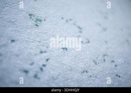 Details of cars frozen in calamity ice on street of European city Prague Stock Photo