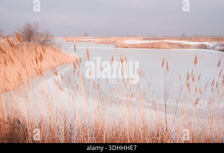 Winter landscape of a frozen river framed by dry orange reeds. The silence and tranquility of nature on a frosty day. Ice, snow, and natural textures Stock Photo