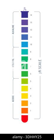 ph scale value chart concept Stock Vector