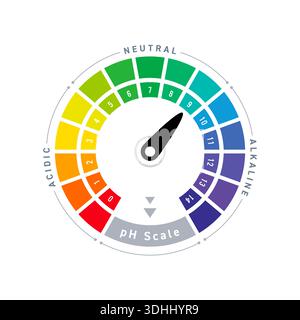 ph scale value chart concept Stock Vector