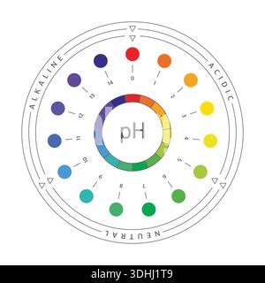 round, circular pH scale concept. ph scale table. acidic, neutral, alkaline table Stock Vector