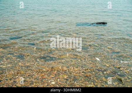 Calm ocean surface with gentle ripples and soft light reflections, creating a clean and minimal sea texture suitable for background and design use. Stock Photo