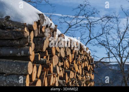 Pile of firewood covered with snow in Mugello, Italy Stock Photo