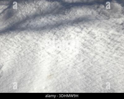 Snow lies on the ground, displaying texture from sunlight shining down. Shadows from nearby trees fall across the white surface in winter. Stock Photo