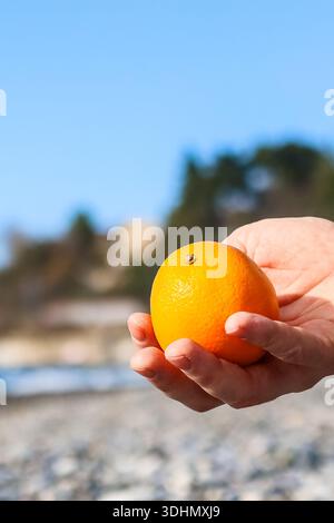 Palm facing up with orange in hand, against defocused beach and turquoise sea horizon. Stock Photo