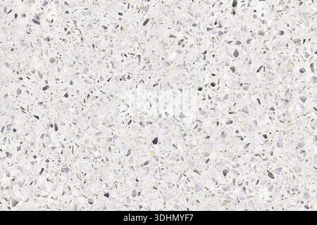 High-resolution macro of a white plaster surface with quartz and stone fragments. Natural mineral texture background for architectural surfaces and in Stock Photo