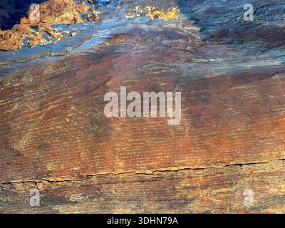 Brown wooden tree trunk background Stock Photo
