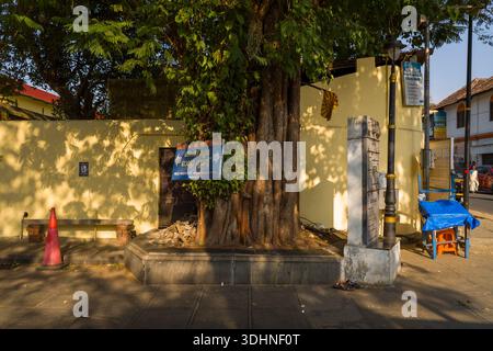 Trivandrum, India - February 28, 2023: A large tree grows at the corner of a yellow wall along a city street, with a blue sign in Malayalam, a concrete utility box, a streetlamp, a bench, an orange traffic cone, and a blue-covered table visible nearby. Stock Photo