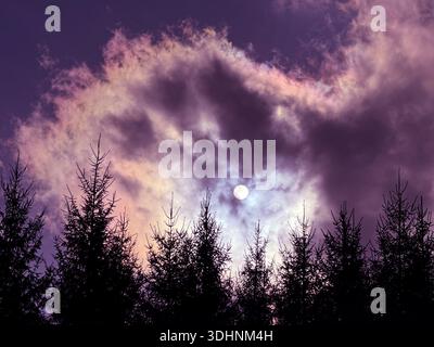 Ominous sky dark clouds and moon over forest spruce trees at night Stock Photo