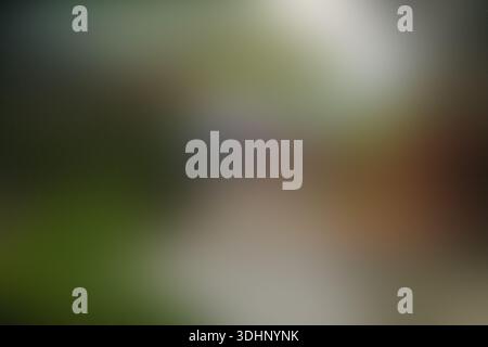 An out-of-focus image featuring soft gradients of dark green, brown, and gray colors, creating a smooth and abstract bokeh background effect. Stock Photo