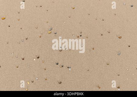 Full frame backdrop seen small colorful pebbles on sandy back Stock Photo
