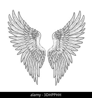 Hawk or eagle wings, black and white sketch. Vector illustration. Bird wings and feathers isolated on white background. Mystical angel or griffin wing Stock Vector
